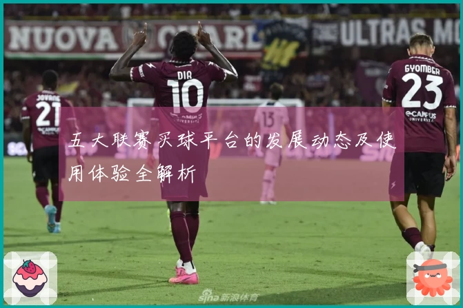 五大联赛买球平台的发展动态及使用体验全解析