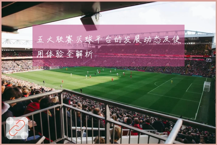 五大联赛买球平台的发展动态及使用体验全解析